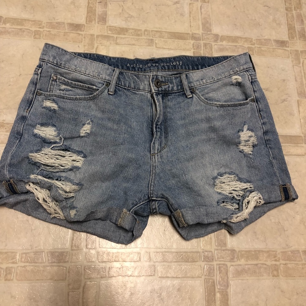 NWOT Articles of Society Shorts (31)